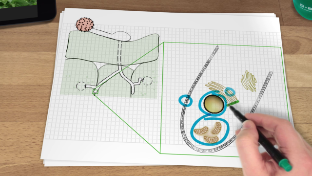 Tutorials produzieren lassen, schulungsfilm erstellen lassen, neue Mitarbeiter schulen, Schulungsfilme